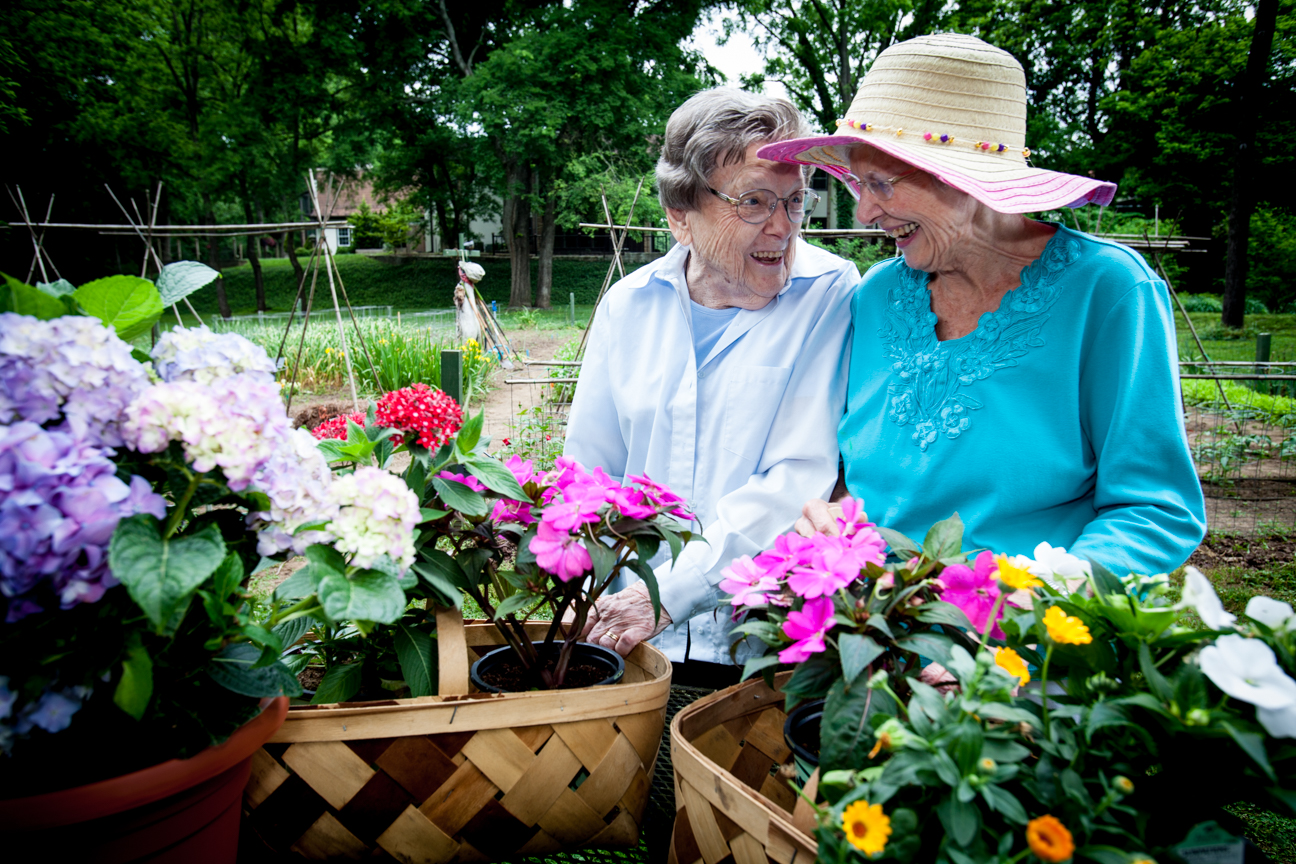 Get Involved - Abe's Garden